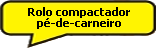 Rolo compactador pé-de-carneiro